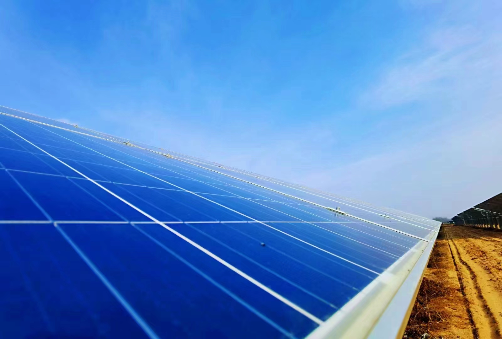 向阳而行 赋能未来.jpg