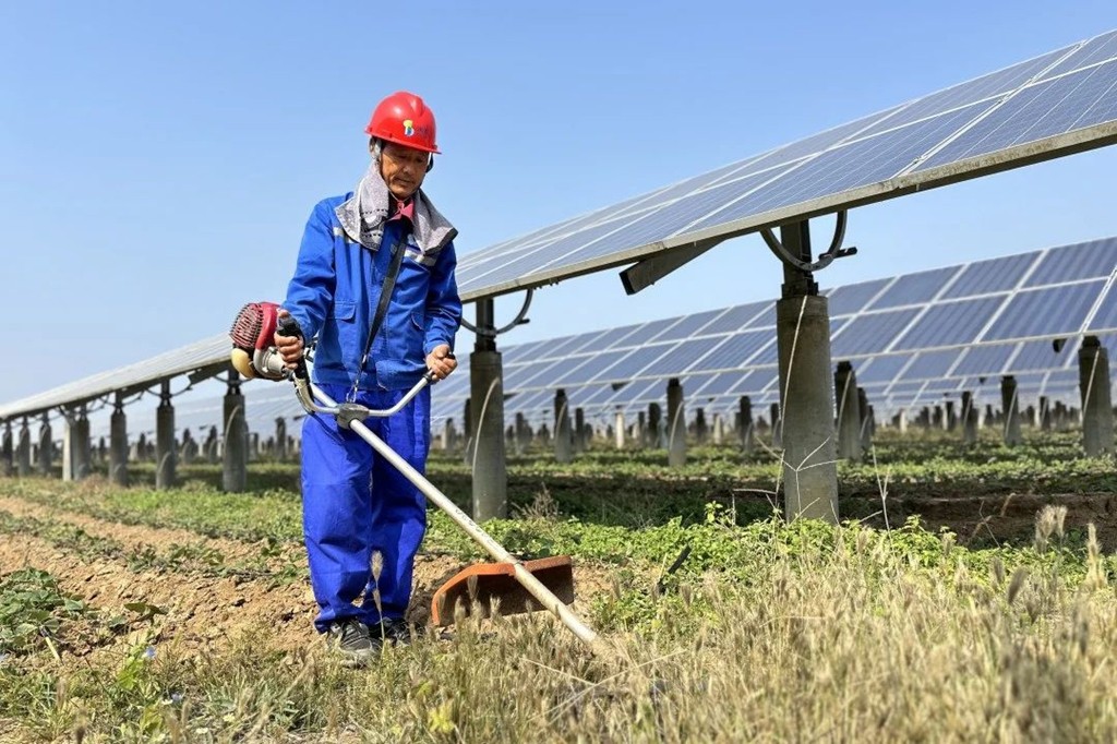 1734655801681588.jpg 除草人.jpg